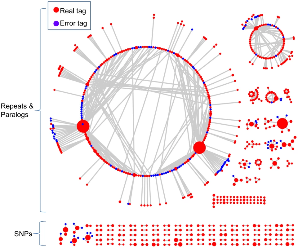 The networks of 802 representative tags from actual switchgrass data.