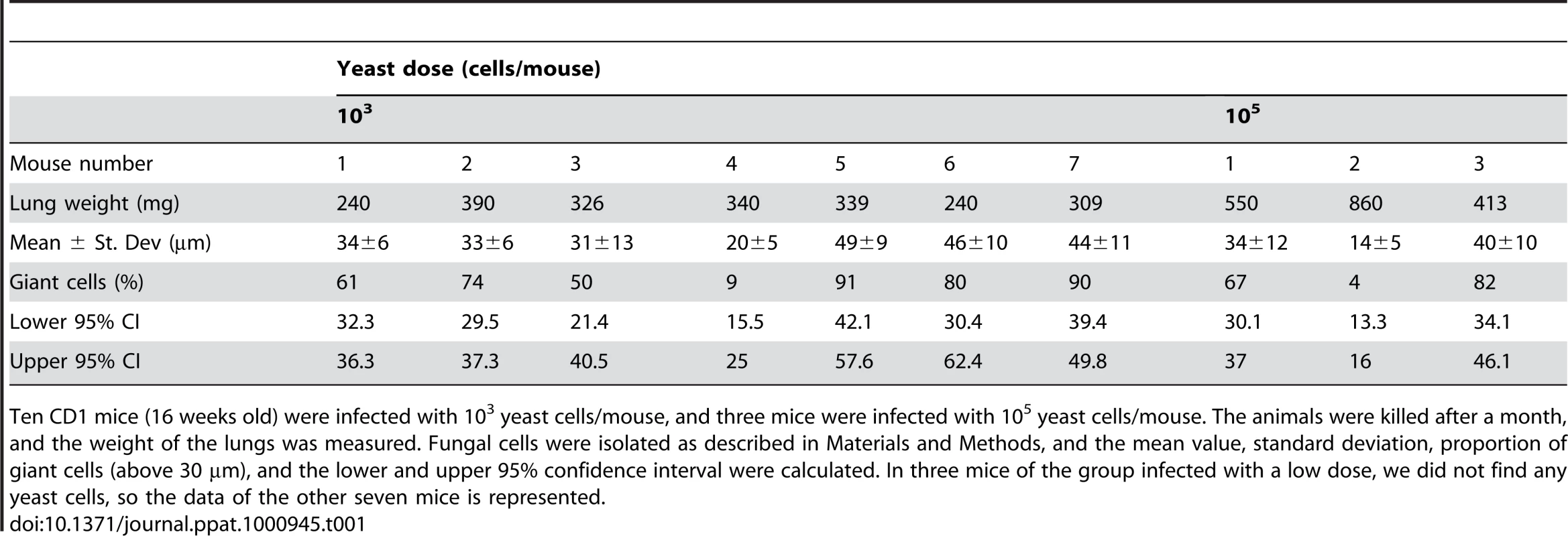 Fungal cell size and proportion of giant cells in 16-weeks old mice infected with low and high doses of H99 strain.