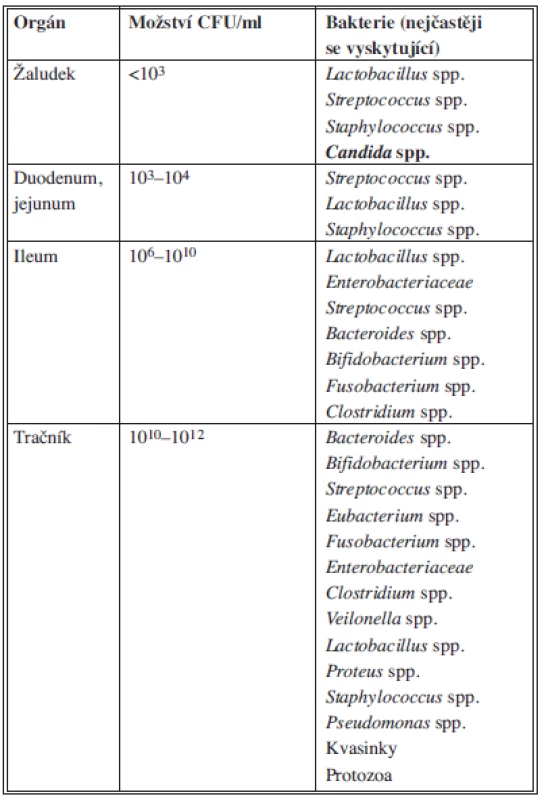 Zastoupení mikroorganismů normální flóry gastrointestinálního traktu
Tab. 1: Physiological flora of the gastrointestinal tract