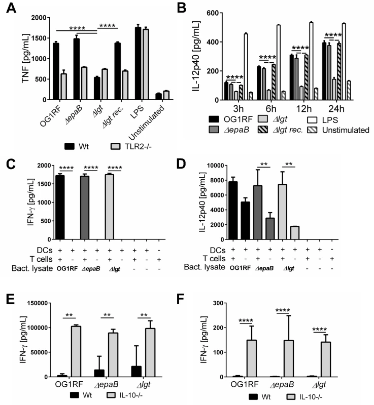 Activation of dendritic cells but not reactivation of T cells is dependent on <i>E</i>. <i>faecalis</i> lipoproteins.