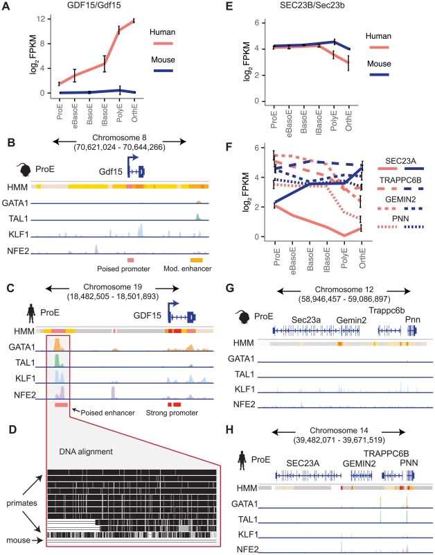 Species-specific expression of <i>GDF15</i> is driven by a human-specific element and the region around <i>SEC23A</i> in humans, but not mouse, is repressed.