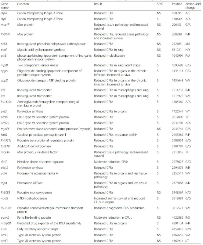 List of genes encoding for supposed virulence factors and affected by single nucleotide polymorphisms