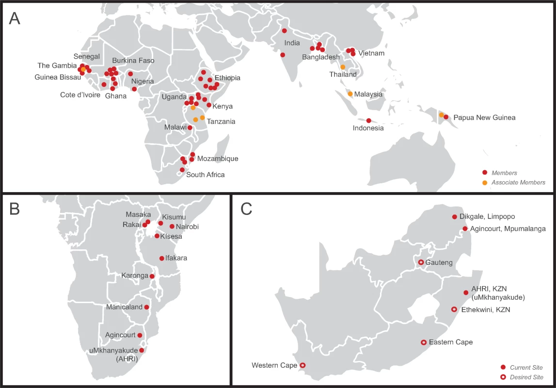 Maps illustrating networks of health and demographic surveillance sites (HDSSs) at the global, regional, and national level.