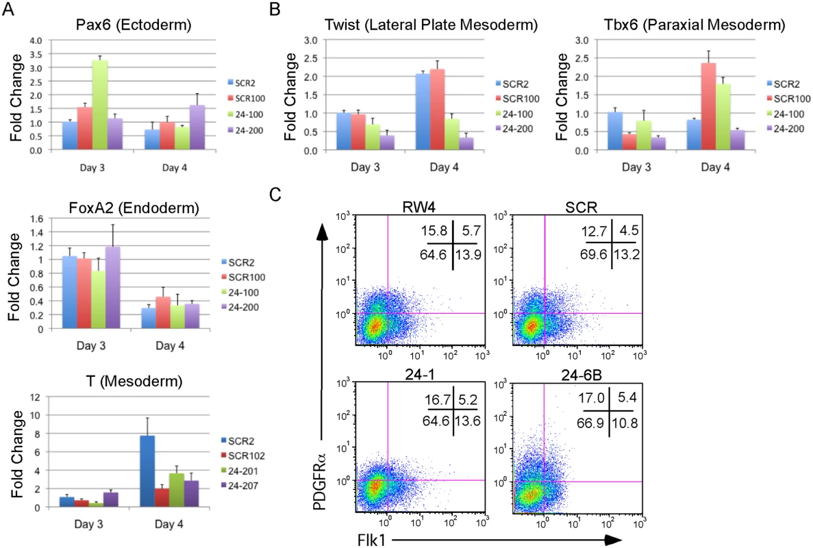 MiR-24 is not required for the differentiation of embryonic stem cells into embryoid bodies.
