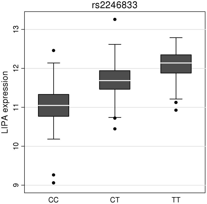 Evidence for an eQTL association in the <i>LIPA</i> gene.