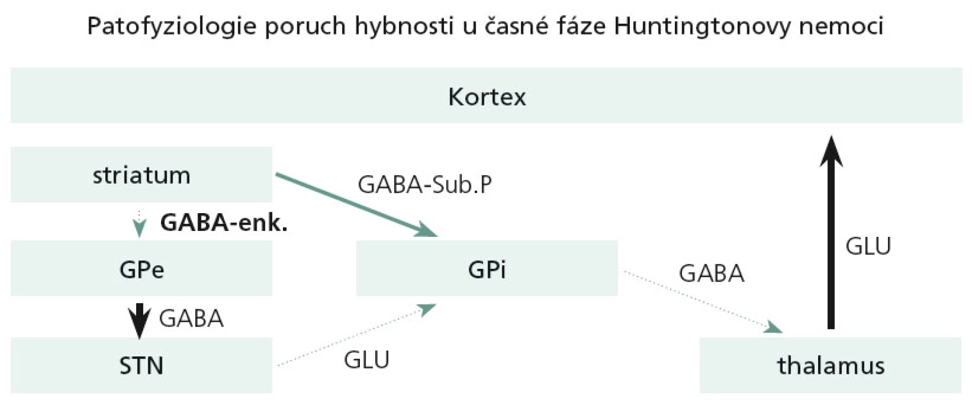 Postižení bazálních ganglií ve velmi časných fázích HN.