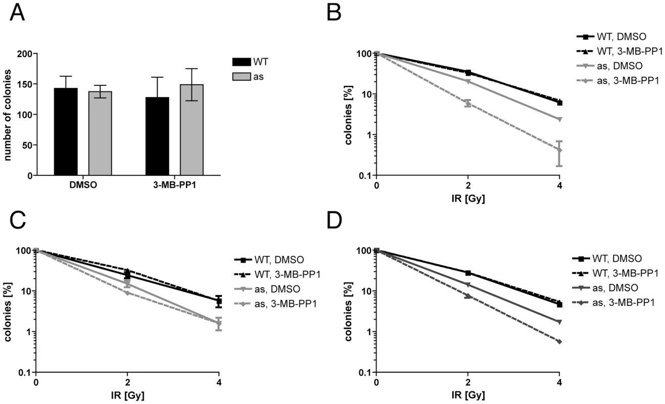 Cdk2 activity is required for normal DNA damage resistance.