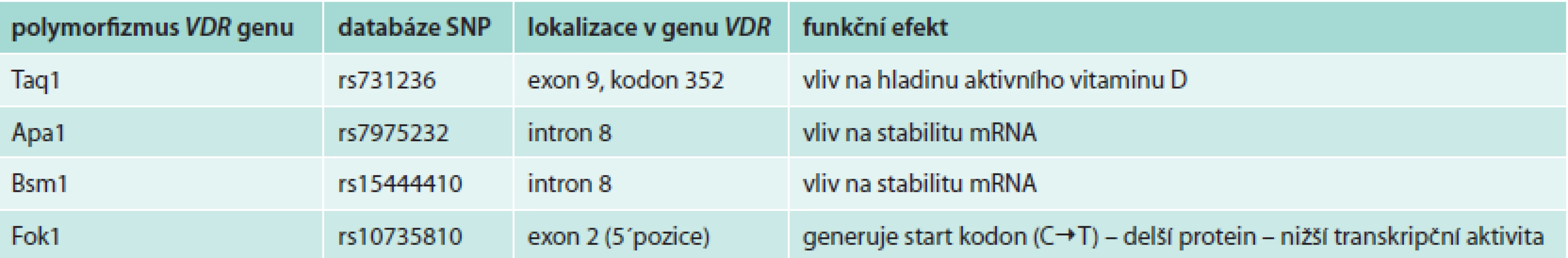 Přehled nejčastěji studovaných polymorfizmů genu VDR; upraveno podle [20]