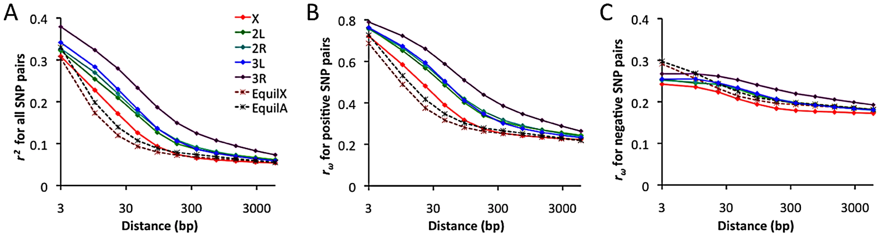 Linkage disequilibrium (LD), excluding singleton polymorphisms.