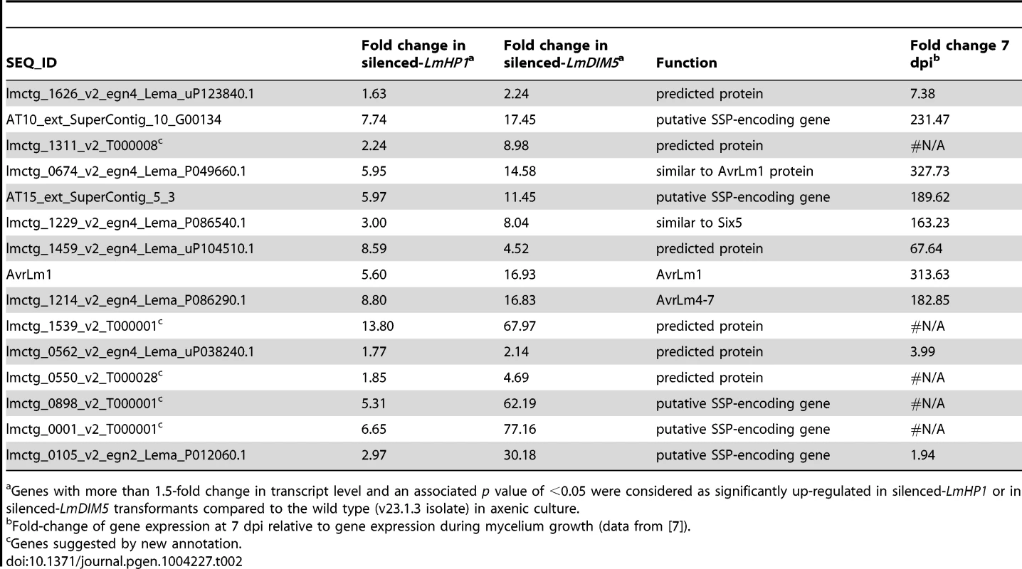 List of <i>L. maculans</i> genes located in AT-isochores and significantly up-regulated both in the silenced-<i>LmHP1</i> and silenced-<i>LmDIM5</i> transformants according to their transcriptional profiles during <i>in planta</i> infection.