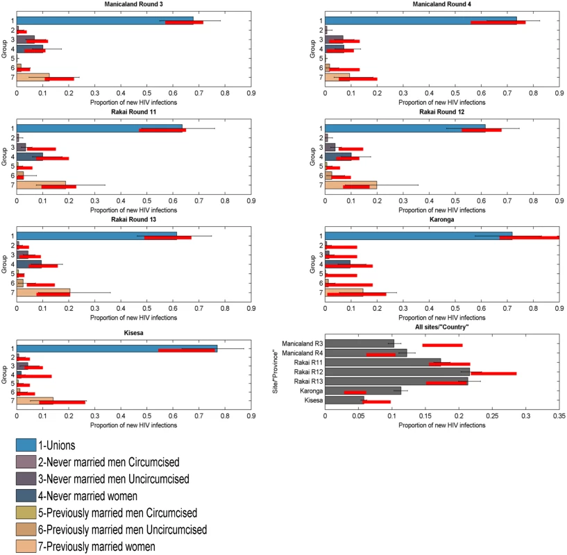 Incidence Patterns Model validation on cohort data from ALPHA Network studies.