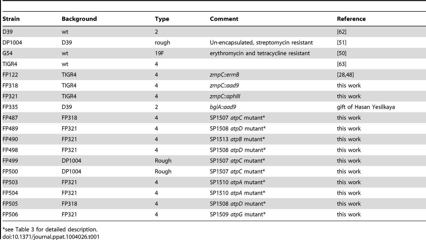 Pneumococcal strains.