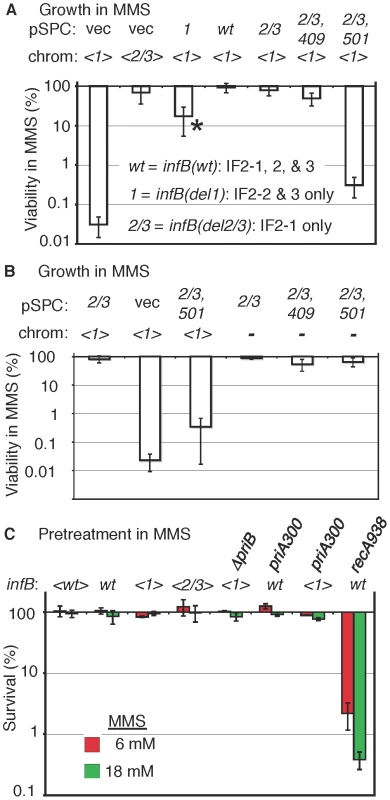 MMS sensitivity of the <i><infB(del1)></i> mutant and complementation by other <i>infB</i> alleles.