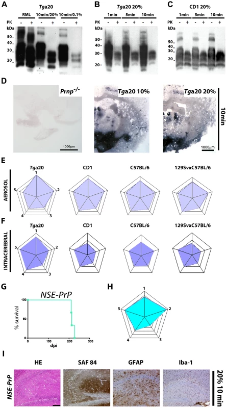 PrP<sup>Sc</sup> deposition in brains of mice infected with prion aerosols and profiling of <i>NSE-PrP</i> mice.