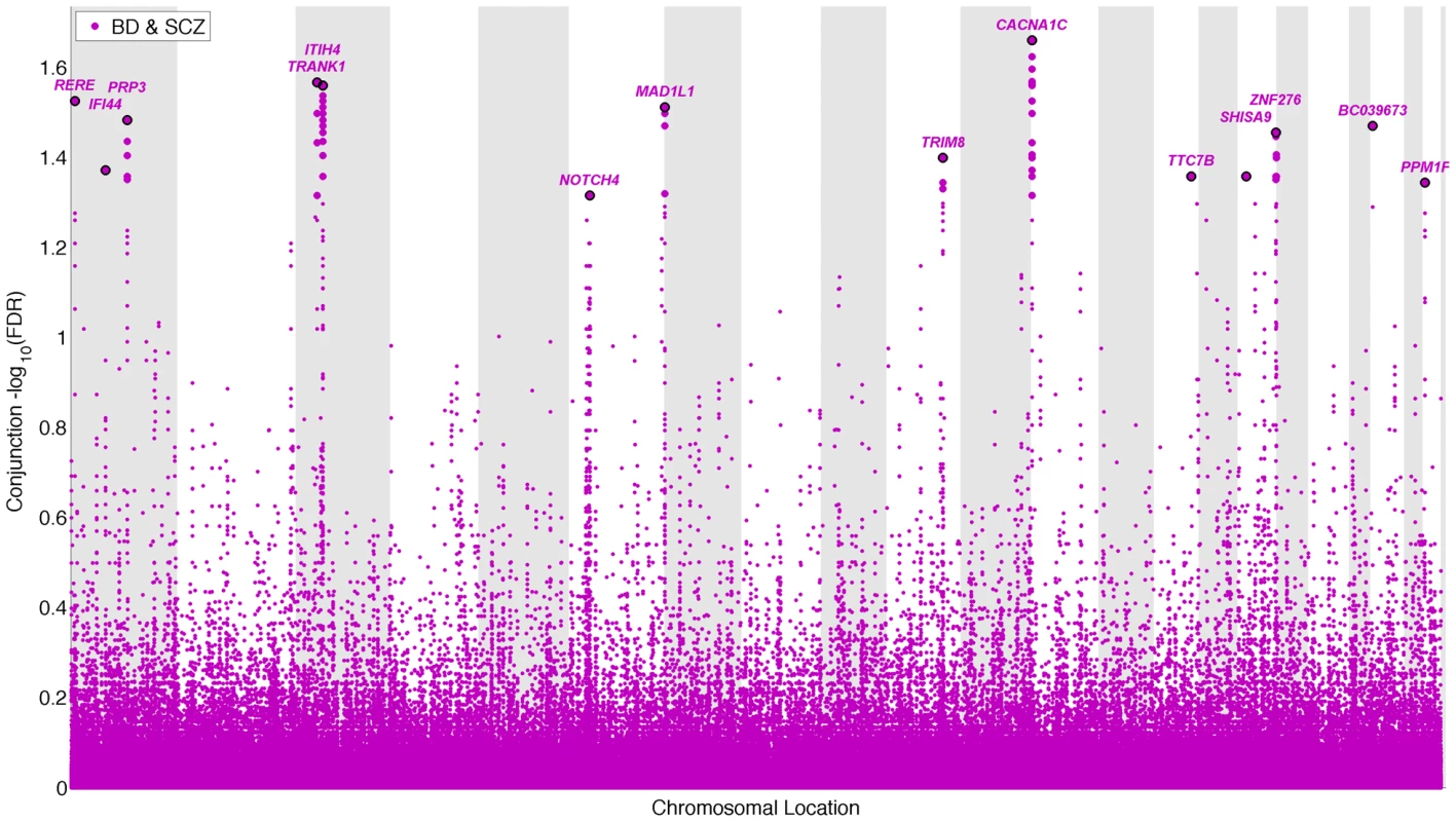 “Conjunction Manhattan plot” of conjunction −log<sub>10</sub> (FDR) values for schizophrenia (SCZ) and bipolar disorder (BD).