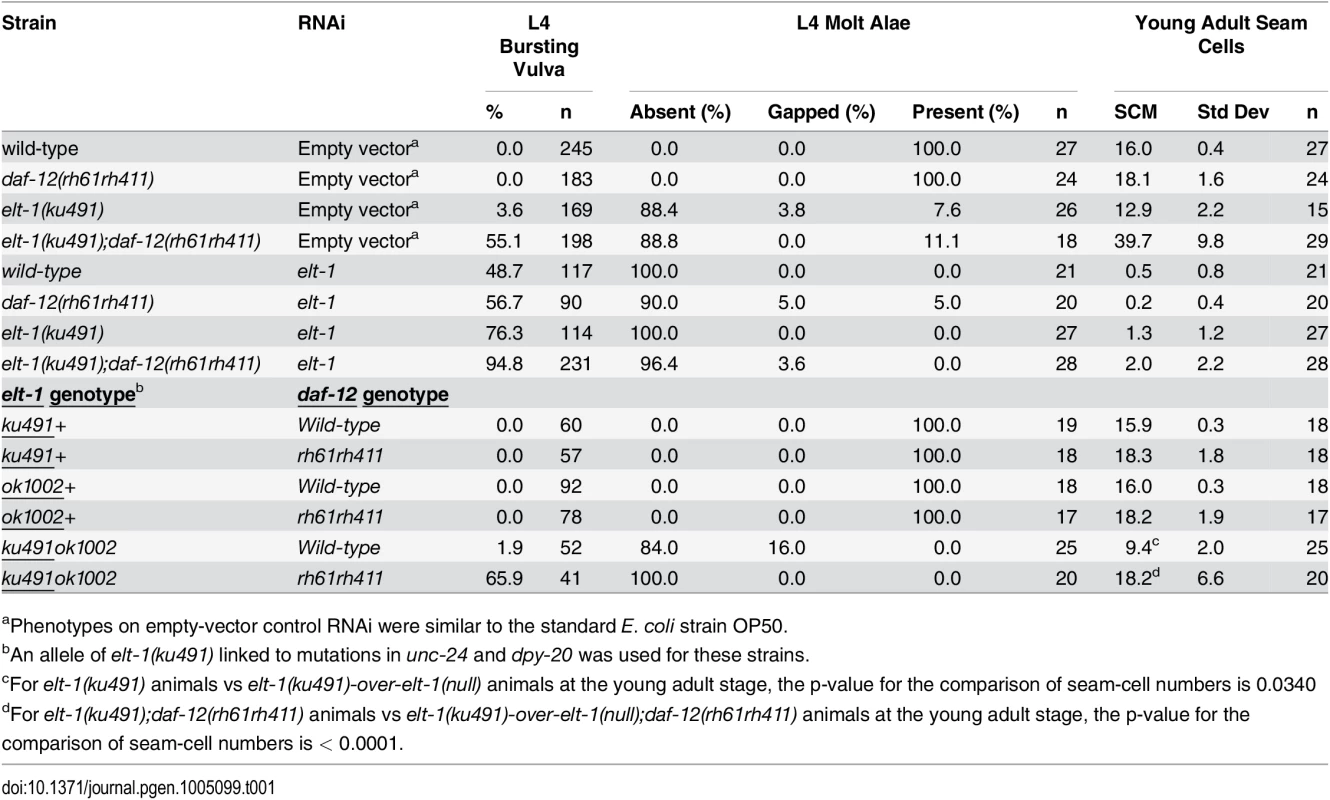 <i>elt-1</i> mutants have an L4-stage bursting vulva and defective alae formation and <i>elt-1(ku491)</i> is a partial loss-of-function allele.