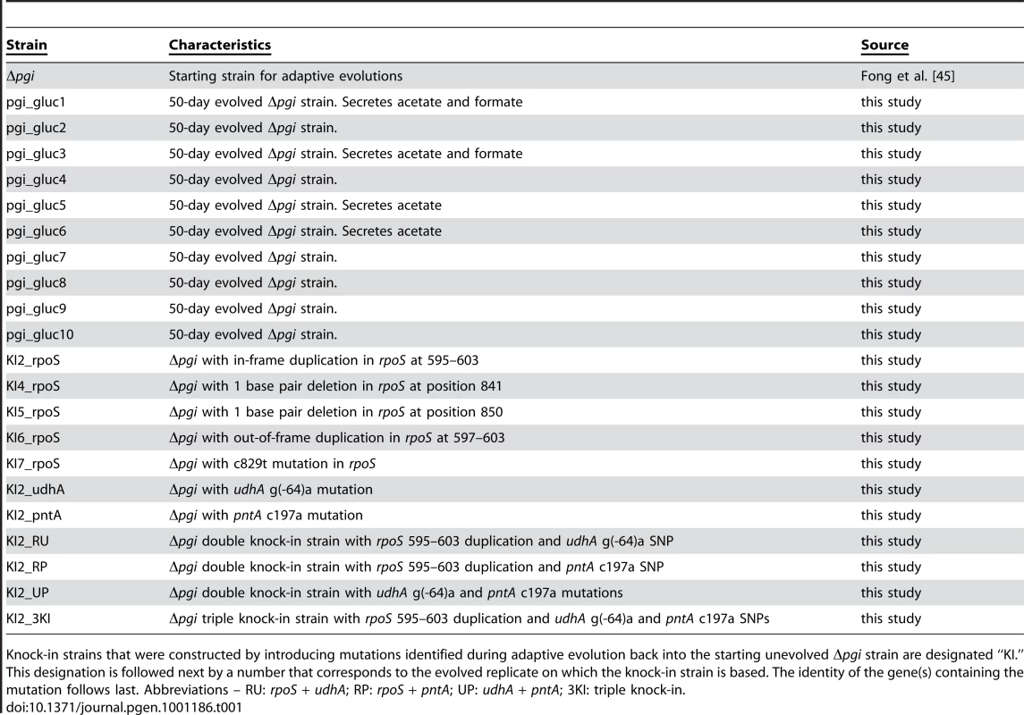 Strains used in this study.