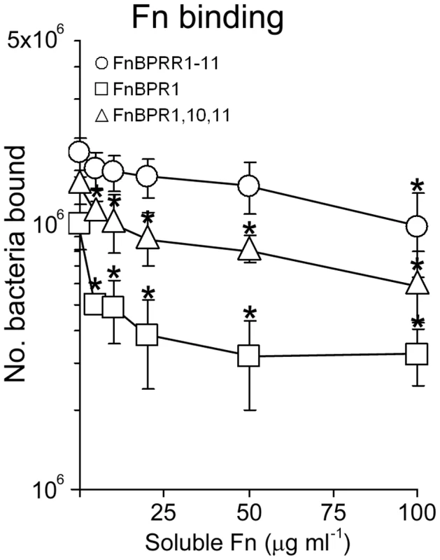 Full length FnBPA facilitates adhesion to immobilized Fn in the presence of soluble Fn.