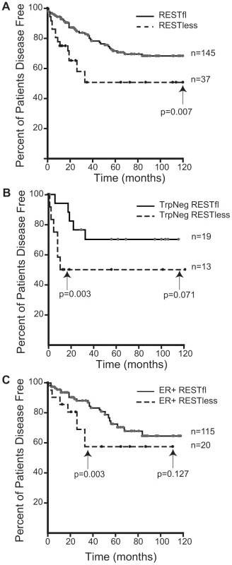Outcome data for patients with REST–less and RESTfl breast tumors.