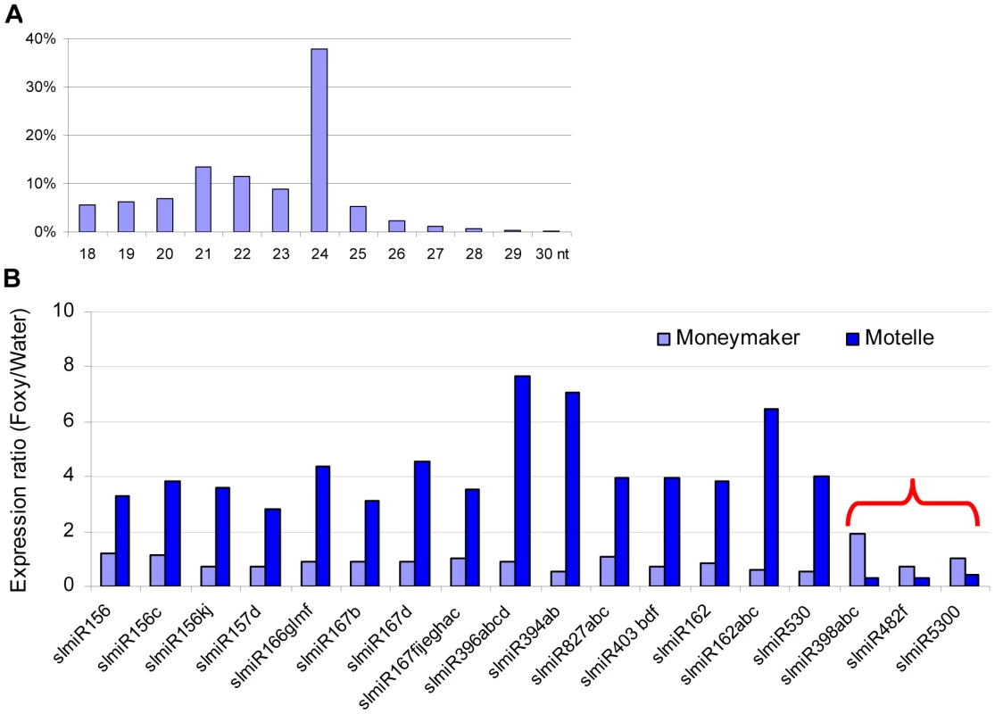 Properties of miRNAs expressed in resistant and susceptible tomato cultivars treated with water or the fungal pathogen <i>Fusarium oxysporum</i>.