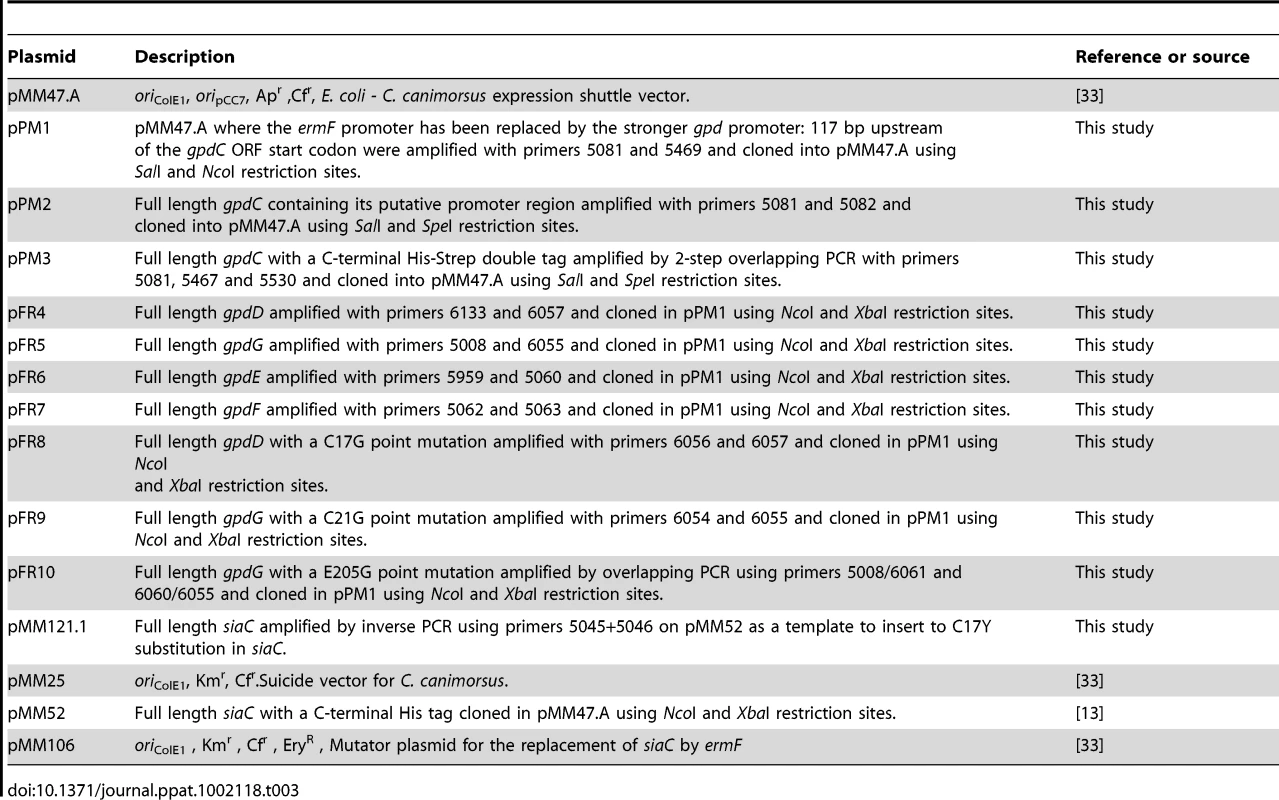 Plasmids used in this study.