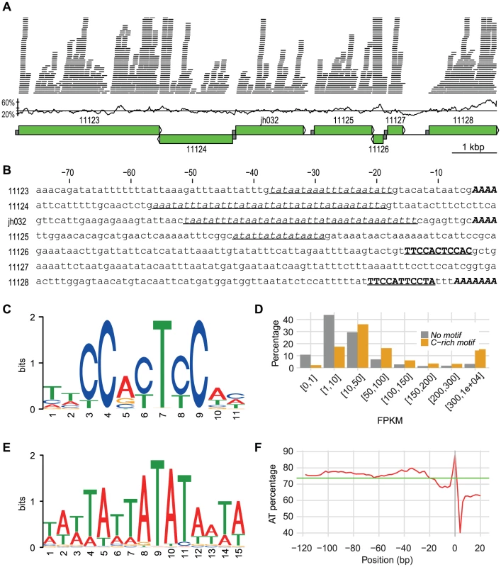 A 10 kbp genomic region with promoter info.