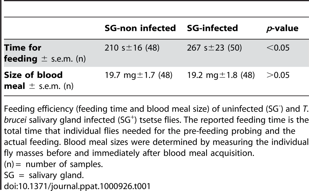 Feeding performance of tsetse flies.