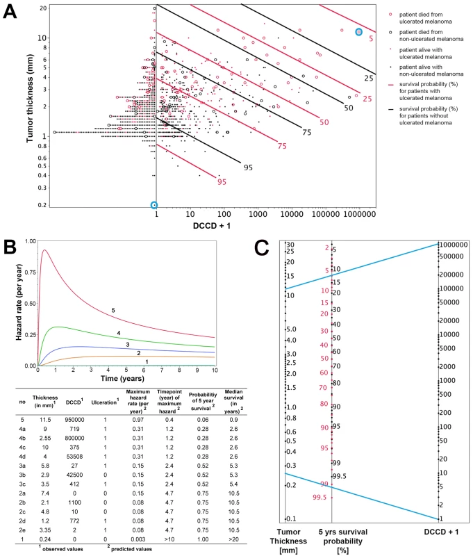 Individualized risk estimation over time.