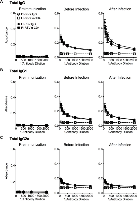 Antibody response is unaltered in CD4 T cell depleted mice.