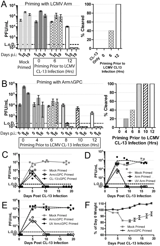Priming an LCMV infection leads to early clearance.