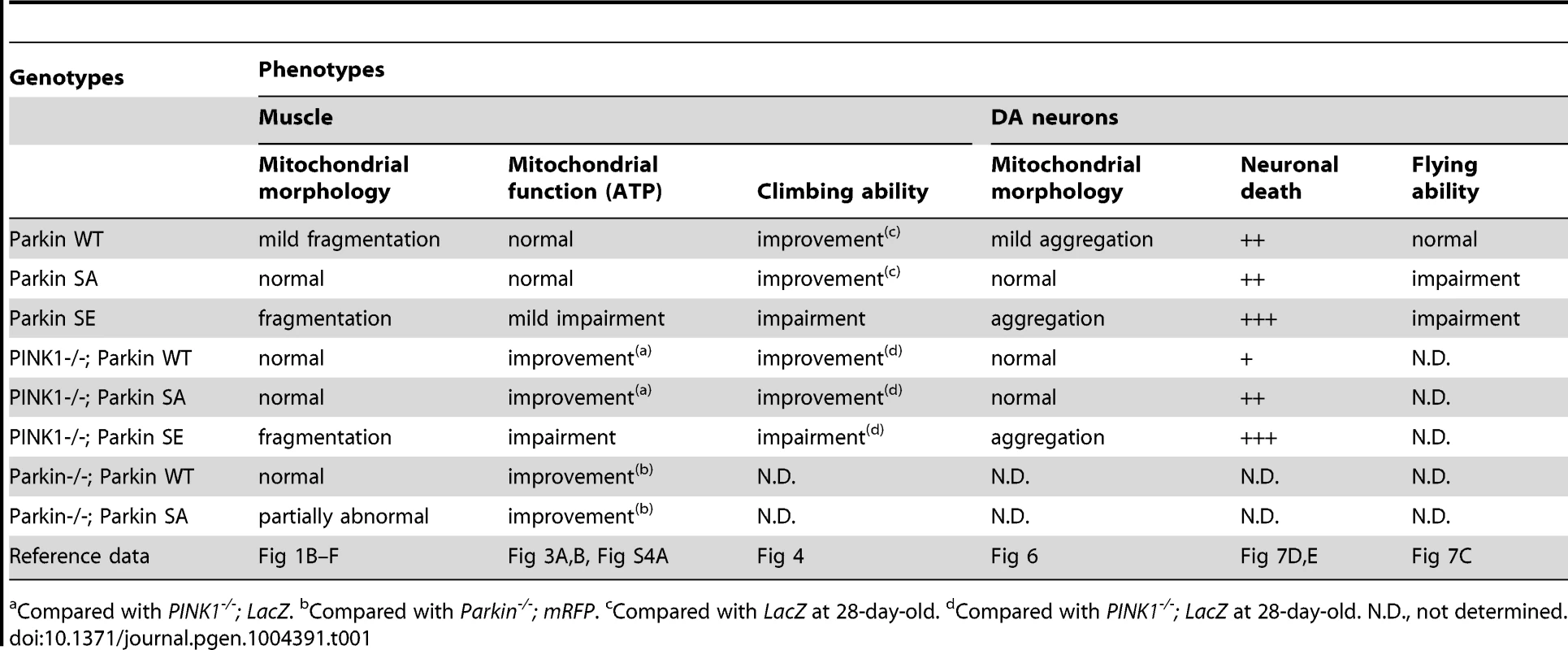 Effects of phospho-mutant forms of Parkin on various phenotypes.