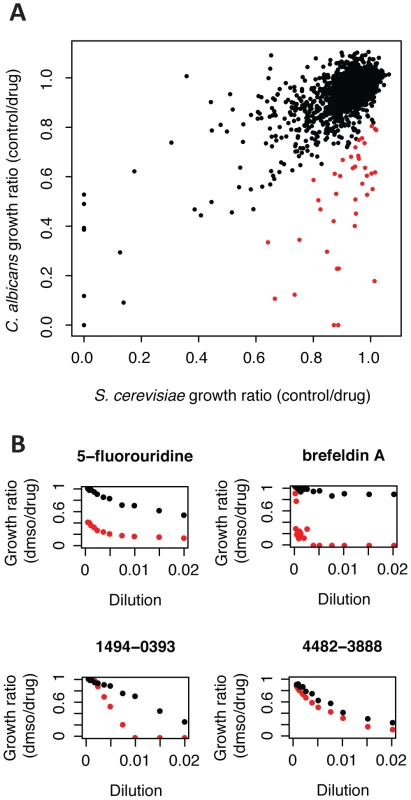 Several compounds have different inhibitory activity in <i>C. albicans</i> versus <i>S. cerevisiae</i>.