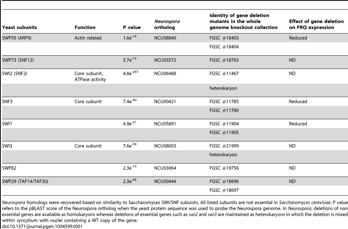 <i>Neurospora</i> SWI/SNF subunits and knockouts.