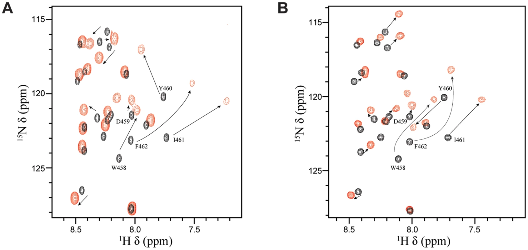 Tfb1PH and CBP KIX bind in a similar manner to EBNA2<sub>448–471</sub>.