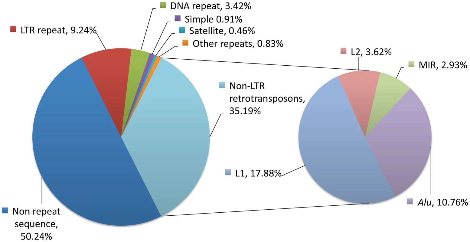 Repetitive sequences in the human genome.