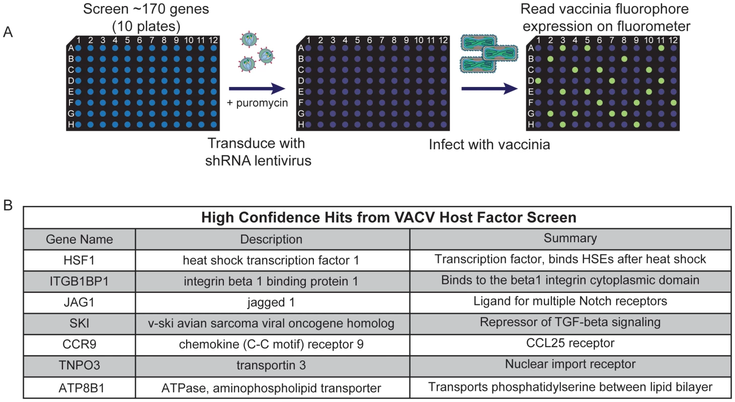 High confidence hits identified in secondary screen.