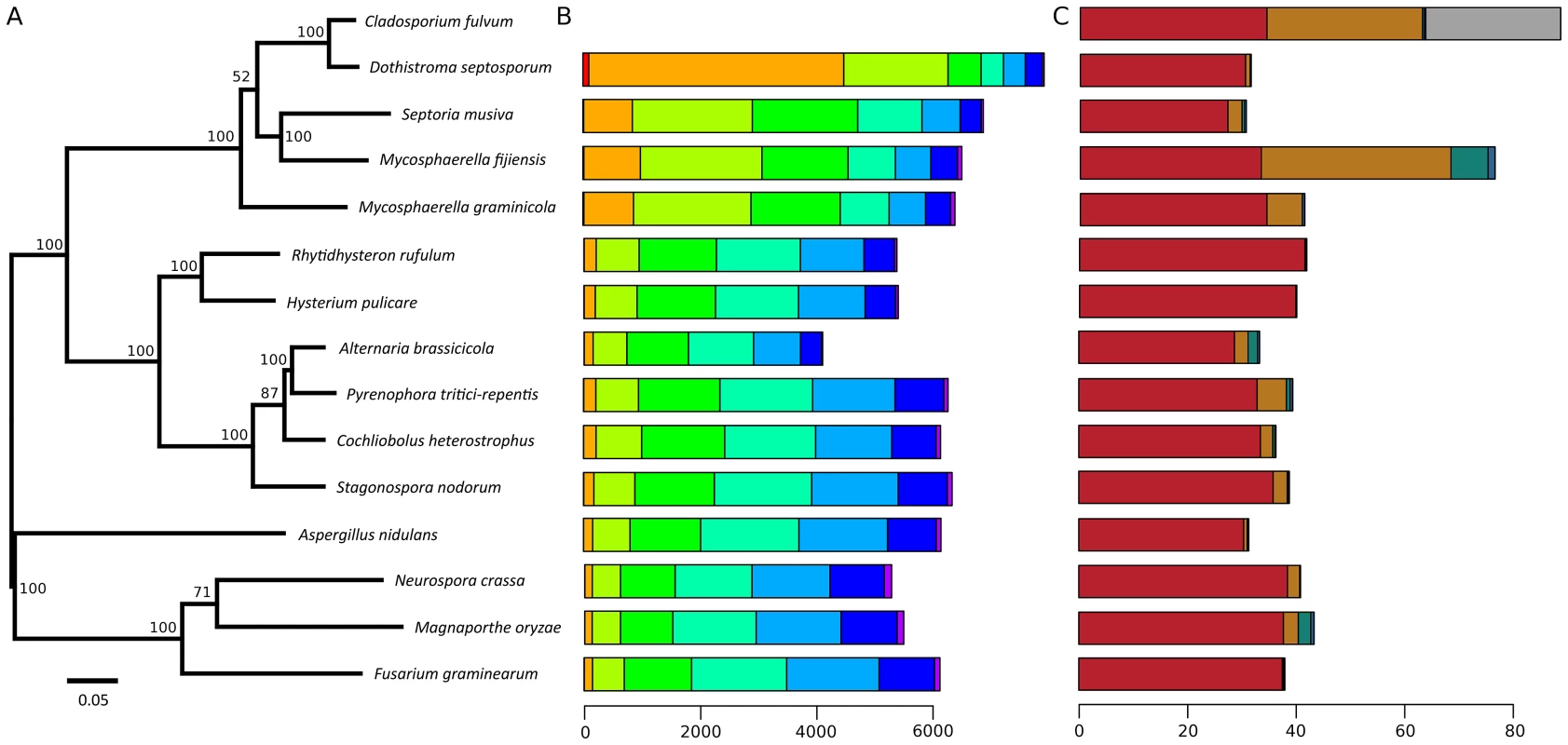 Species phylogeny, amino acid similarity, and repeat content.