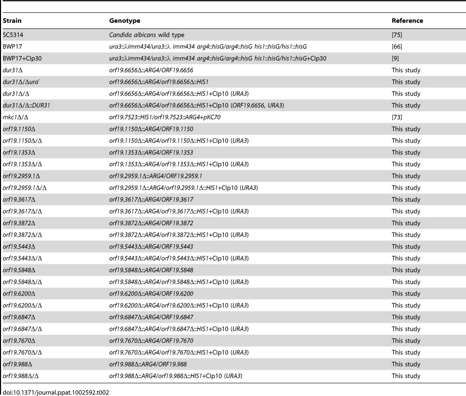 <i>C. albicans</i> strains used in this study.