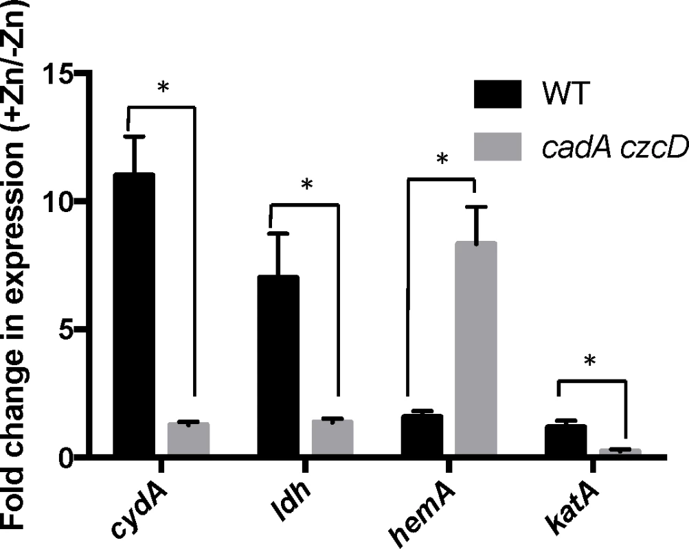 Zn(II) intoxication leads to derepression of the Rex regulon in wild type cells, and dysregulation of PerR in a Zn(II) efflux deficient mutant.