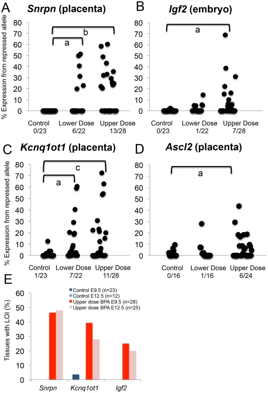 Allele-specific expression studies showed increased proportion of tissues with loss of imprinting following BPA exposure.