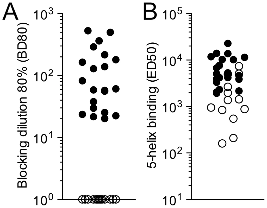 Detection of HK20-like antibodies in patient sera.