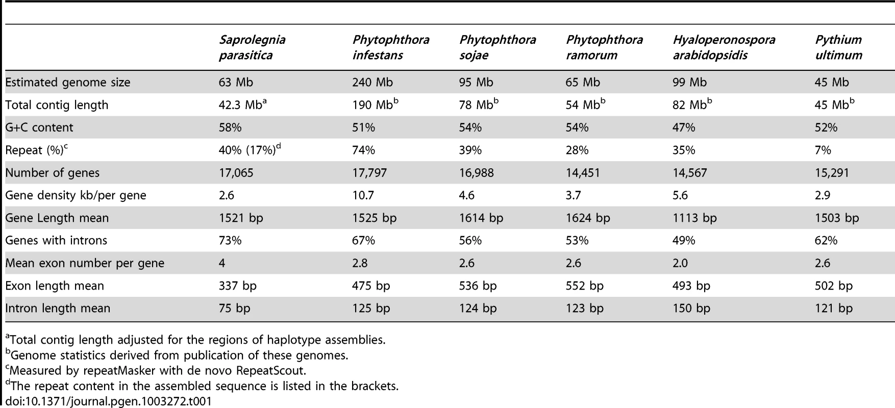 Genome statistics and intron features of oomycetes.
