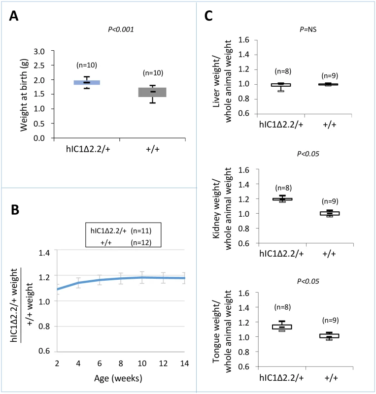Somatic overgrowth on maternal transmission of the <i>H19</i><sup><i>hIC1</i>Δ<i>2</i>.<i>2</i></sup> allele.