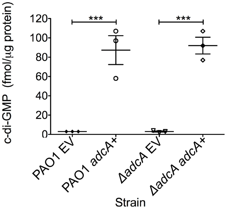 <i>PA4843</i> (<i>adcA</i>) encodes diguanylate cyclase.