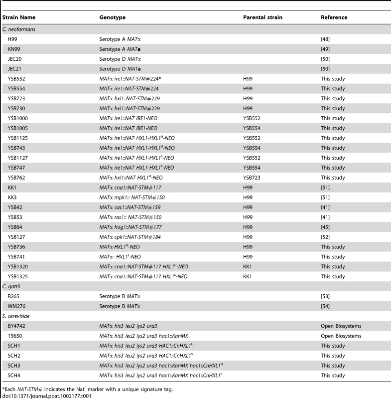 Strains used in this study.