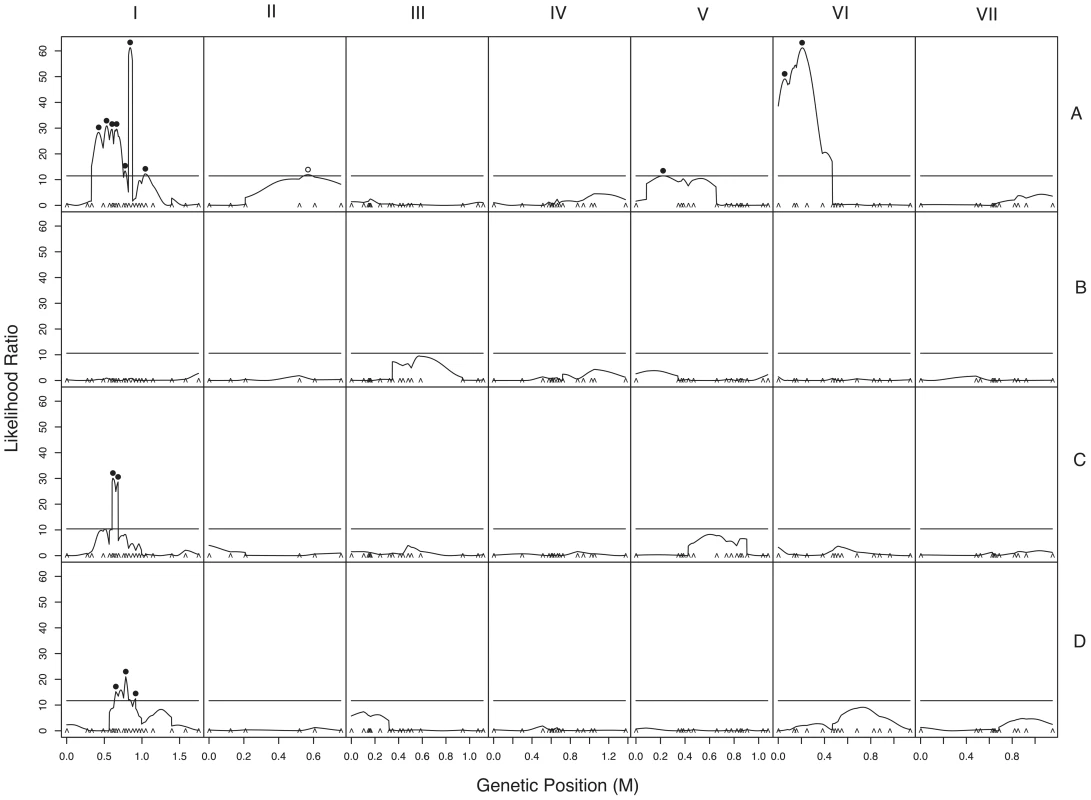 Composite interval mapping of hybrid fruitbody development in crosses between <i>N. crassa</i> and <i>N. intermedia</i>.