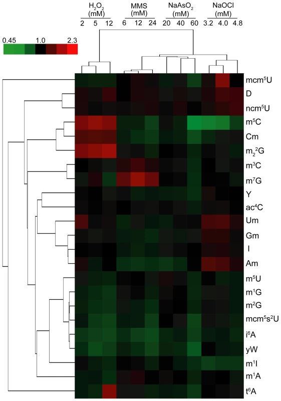 Hierarchical cluster analysis of toxicant-induced changes in tRNA modification spectra in wild-type yeast exposed to concentrations of MMS, H<sub>2</sub>O<sub>2</sub>, NaOCl, and NaAsO<sub>2</sub> producing 20%, 50%, and 80% cytotoxicity.