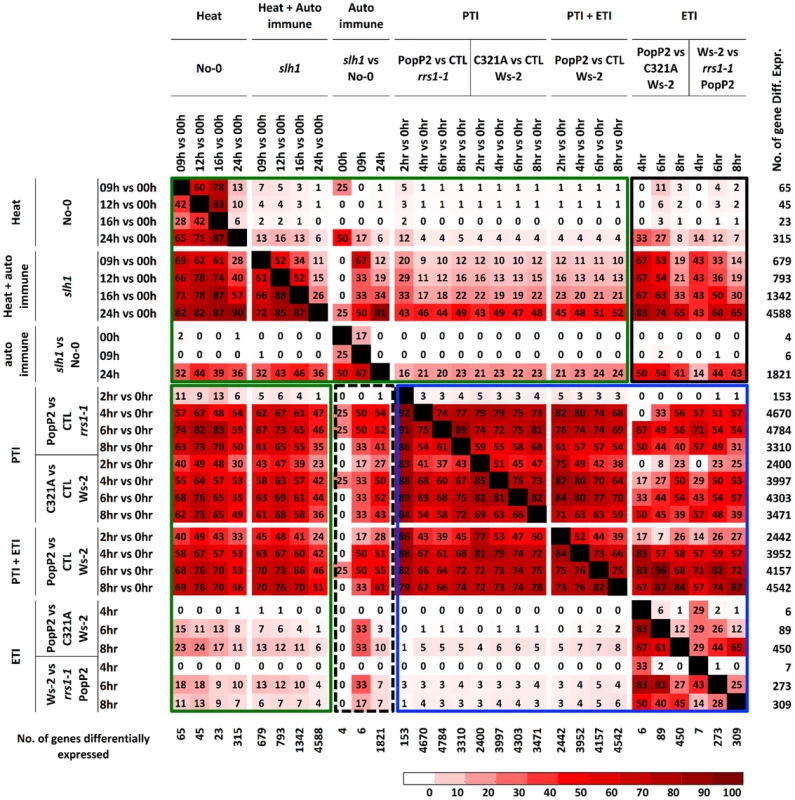 Percentage pairwise overlap of genes differentially expressed during the time course of PopP2 or PopP2<sup>C321A</sup> on Ws-2 and <i>rrs1-1</i> and the time course of temperature shift on No-0 and <i>slh1</i>.