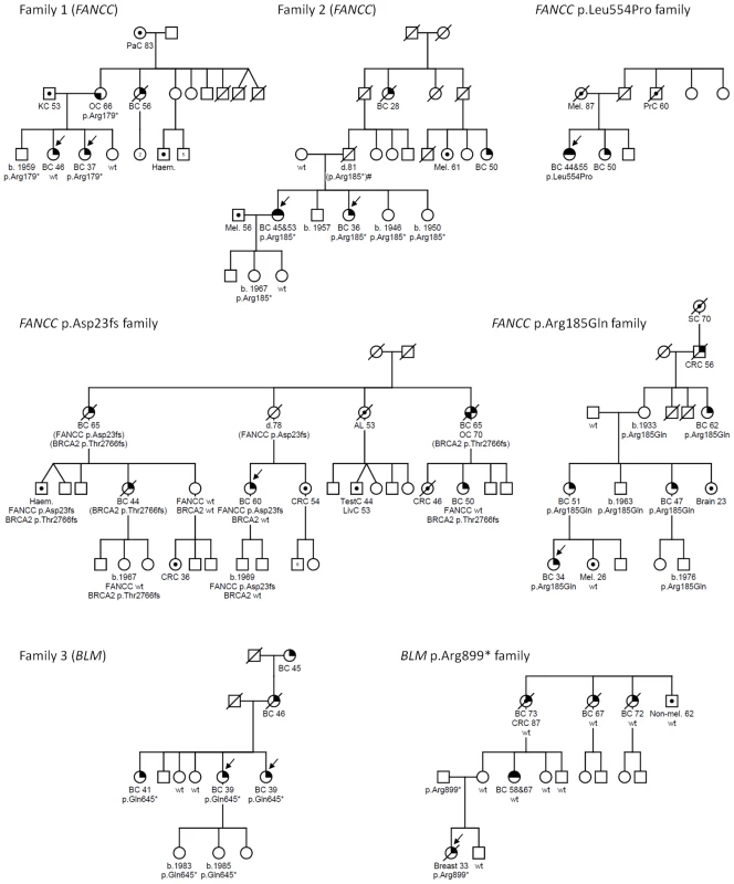 <i>FANCC</i> and <i>BLM</i> mutations identified in familial breast cancer pedigrees.