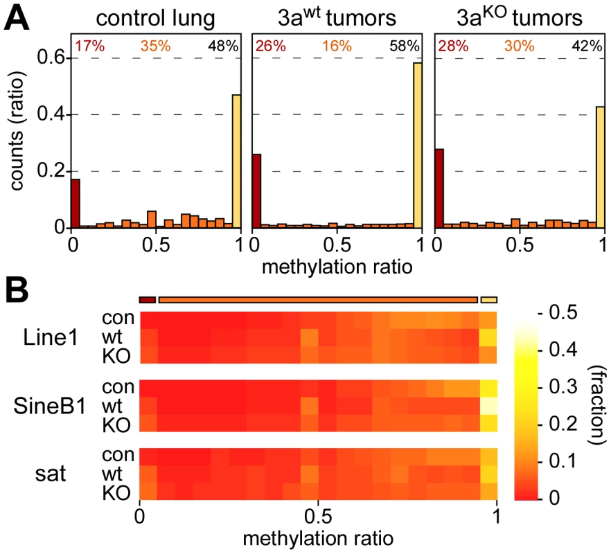 Methylation levels of CpGs and repetitive elements.